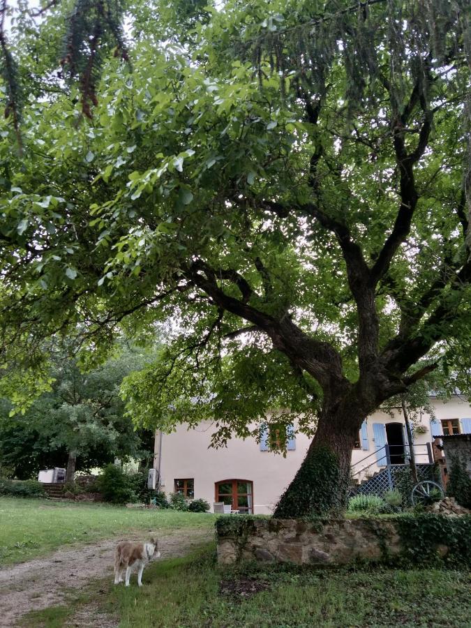 Bed and Breakfast Combecave Vabre-Tizac Exterior foto